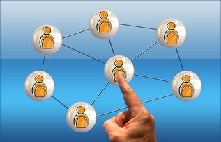 科技资讯投稿后的回复周期，了解行业标准与提升投稿成功率  第1张