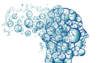 金融科技应用专业课程内容解析与未来展望