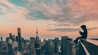 虚拟现实（VR）市场前景分析，技术革新与未来趋势