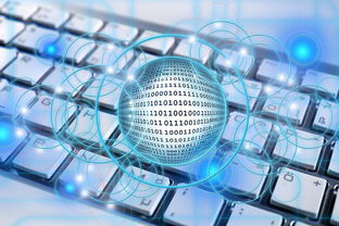 锦一科技咨询，引领数字化转型的先锋力量