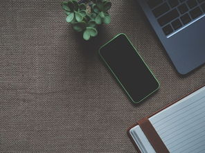 科技信息影响因子，定义、作用及其在现代科研中的重要性