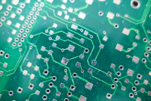 加载预训练的AI模型