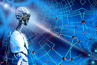 VR技术的具体运用及其未来发展趋势