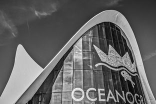 探索未来，科技资讯APP最新版本下载官网全解析