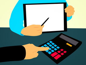 河南科技大学期末考试题库，科技专家视角下的分析与建议