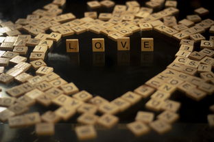 科技生活，300字的奇妙旅程