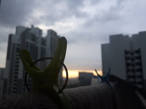 科技融入生活，高中生的视角