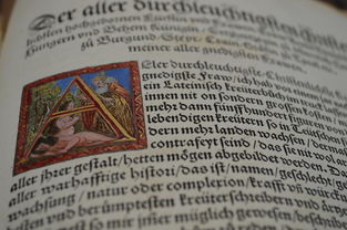 河南科技大学英语语言文学考研，探索学术之路