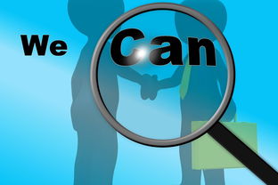 科技应用领域的领先股票公司概览