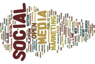 2024年国内科技龙头基金排名分析