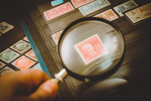 2021年体育综合分录取线，解读与分析