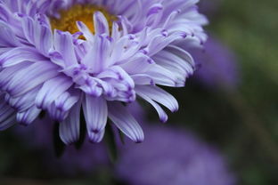 科技，编织美好生活的织锦