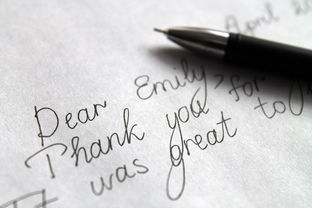 河南科技大学英语考研，策略、资源与备考指南