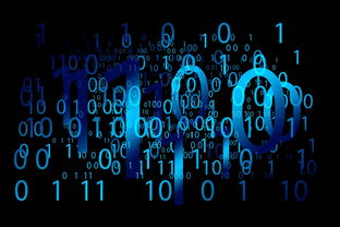 招聘IT资讯主管，引领企业数字化转型的关键角色