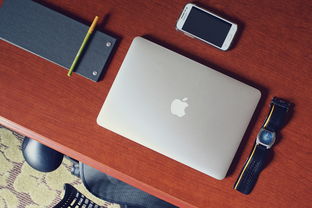 探索AI工具的多样性，从基础到高级的智能助手