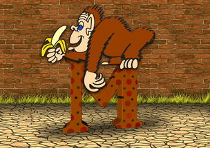 斑马科学：专为3-8岁儿童设计的科学启蒙应用，让学习像游戏一样快乐